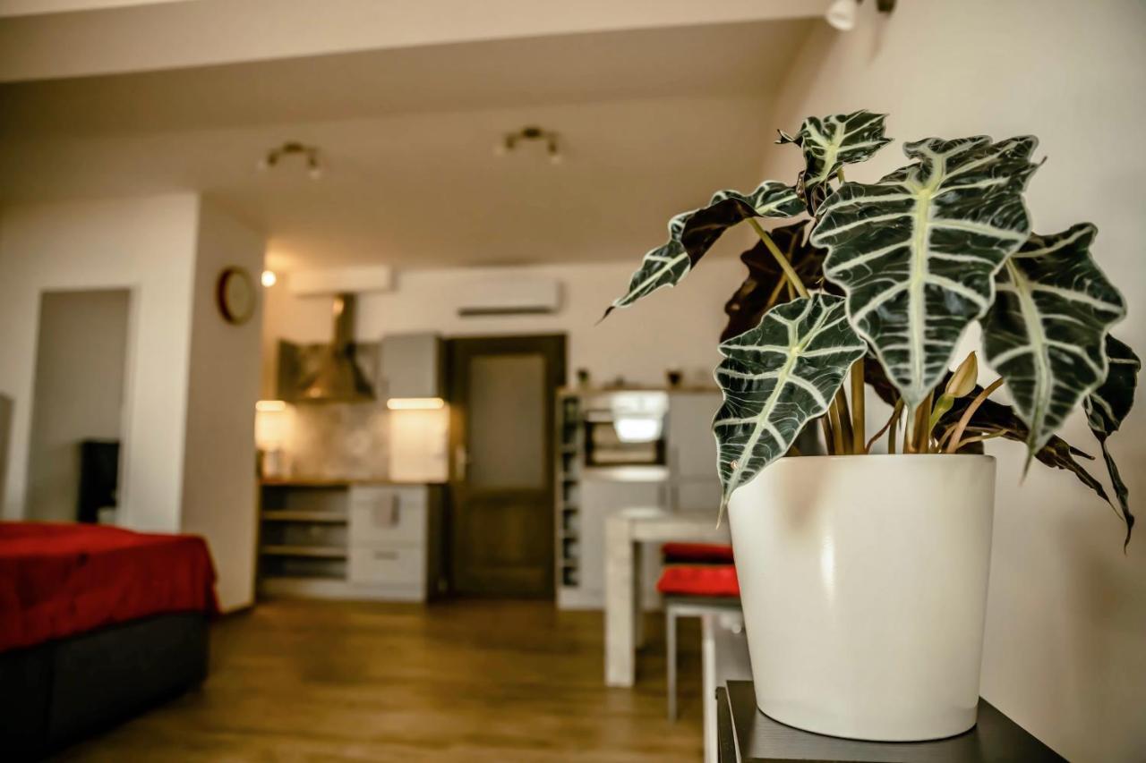Podkrovni Studio Na Velkem Namesti S Wi-Fi Zdarma Hradec Králové Kültér fotó